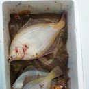 해변 낚시마트 이미지