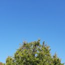 남관초등학교 이미지