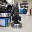 제이모터스(J모터스) 이미지