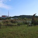 한강신도시호수공원 이미지