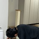 호비까비 네이버블로그