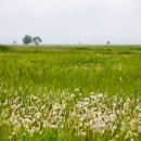 화성1리경로당 이미지