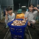 다민농장 이미지