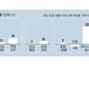 디자인하다 MK