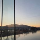 옥천가흑염소 이미지