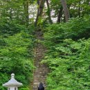 신도연못 옆 이미지