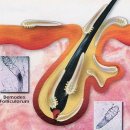 참닥터의원 이미지