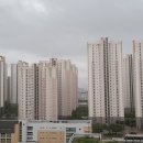 "세종시 아파트가격 상승, 수도이전보다 인접도시 실수요자 때문" 이미지