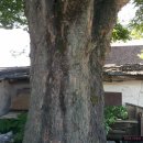 문촌2리 이미지