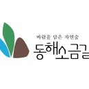 소금길 2코스 | 동해소금길 가는길 트레킹 코스, 1/2/3코스 난이도 비교! 도슨트 예약 꿀팁, 뱃지 받는 법