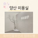 새동네미용실 이미지