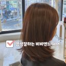 채하 | 💇‍♀️ 비비엔느헤어 창원상남점 후기 | 애쉬브라운 염색, 채하 디렉터 손길