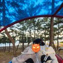 용화어린이공원 | 삼척 해양레일바이크 12월 겨울에 타면 어떨까?