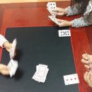 솔리테리 이미지