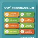 일대일코칭입시학원