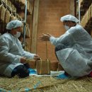 구만리콩마을 영농조합법인 이미지