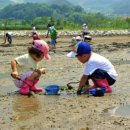 유포자원 이미지