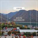 오성게임장 | 충북 단양 단풍 1박2일 여행코스 숙소 소노벨 / 단양구경시장
