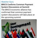 요하네스버그에서 22일부터 시작되는 BRICS 서밋이 세계...