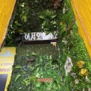 사보르페루아노 이미지