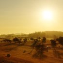 제일카정비세차 이미지