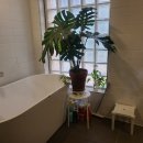 정발산공원 화장실-5 이미지