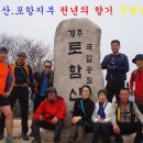 천년의향기