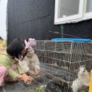 소민농장 | 표고버섯 체험 자연 속 소민농장 후기