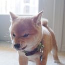 16 이미지