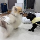 송내카써비스 | [월간쿠키] 2026.2월호 '쿠키는 파워E'