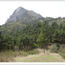 임내등산로 이미지