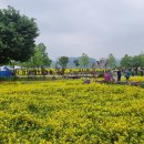 한강시민공원 이미지