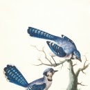 마음을 여는 그림책 읽기 이미지