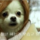 끌림.은
