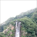 토속어류생태복원체험관 이미지