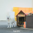 개삼경로당 이미지