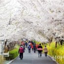 중랑천 제1체육공원 이미지