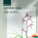 제주의 한란 이미지