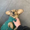 심바스튜디오 이미지