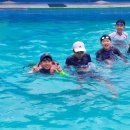 산수랜드 이미지