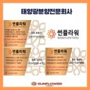 다음태양광발전소 이미지