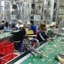 화산축산 이미지