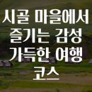 정겨운자연마을 티스토리