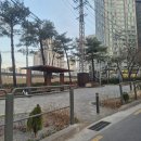 커피안 | 서울 3대 두쫀쿠 맛집 안커피 신상 말차두쫀쿠 후기