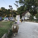 은아목장 이미지