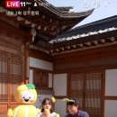 라이브