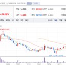 주식회사 나노바이오 이미지