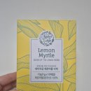 진짜 너무너무 맛있는 깔끔 레몬티! 네이처샵 프리미엄 레몬머틀 솔직후기