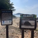 웅도둥둥바위펜션 | [ 웅도 펜션 ] 400살 소나무 웅도반송 옆 둥둥바위펜션 추천 🪨