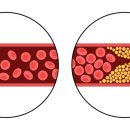 동호내과의원 이미지